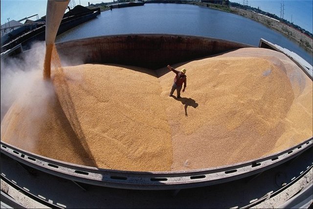Цього року Україна розширює ринки збуту зернових. Фото fedpress.ru