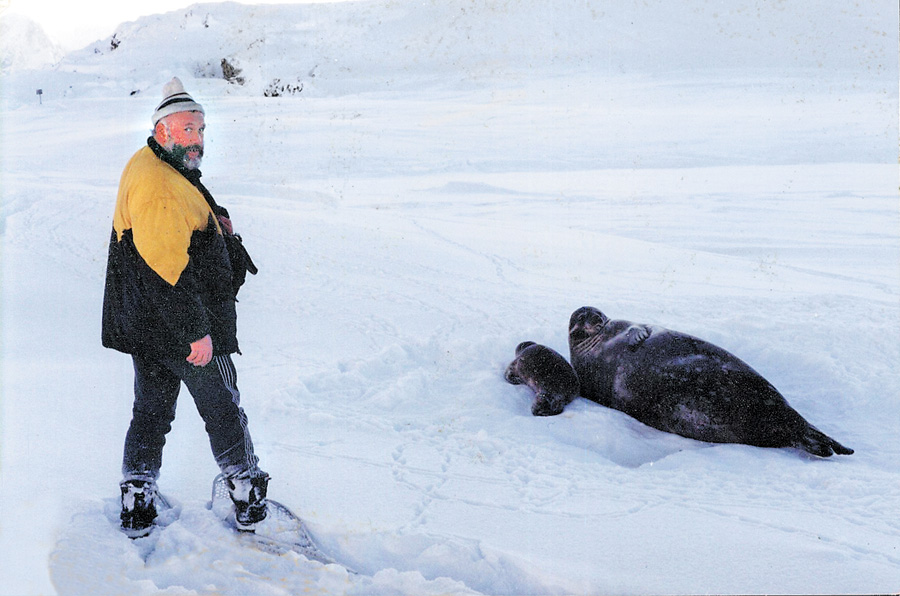 Тюлені звикли до людей і почуваються безпечно. Фото з архіву Сергія ЛОПАРЬОВА