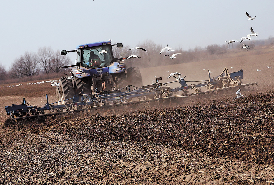 Цієї весни аграрії недосіють 400—500 тисяч гектарів ярих зернових. Фото Oлександра ЛЕПЕТУХИ