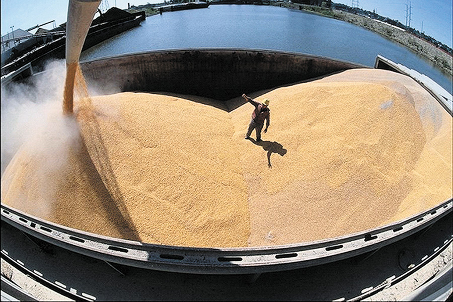Український агропромисловий комплекс цього року може збільшити виручку на 15%, зокрема за рахунок високих врожаїв зернових. Фото з сайту proagro.com.ua