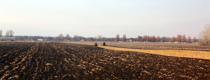 За словами міністра агрополітики Ігоря Швайки, зокрема на Луганщині в «тіні» використовують майже 400 тисяч гектарів землі. Фото Світлани СКРЯБІНОЇ 