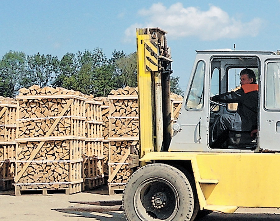 Лісоматеріали повинні працювати на місцеву деревопереробку, проте високотехнологічну. Фото Аліни АГОПШУК
