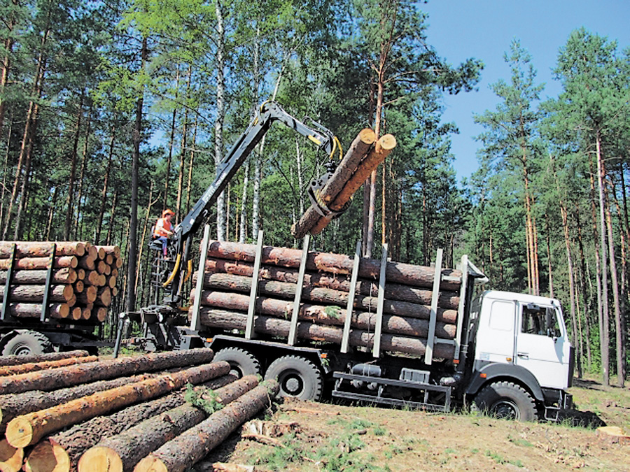 Ось така потужна й економічно ефективна техніка працює на лісових дорогах Сумщини