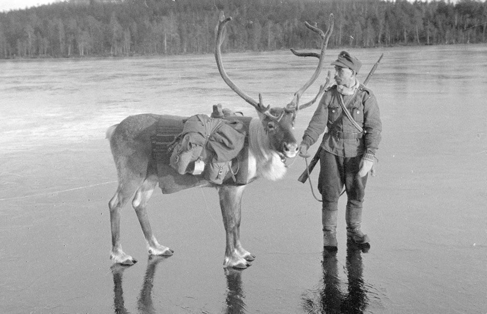 Фінський солдат-переможець з оленем на замерзлому озері. 