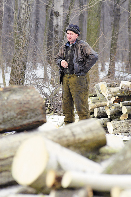 Дедалі більше селян на Донеччині беруть у руки сокири та пилки й вирушають заготовляти дрова на зиму. Фото Володимира ЗAЇКИ