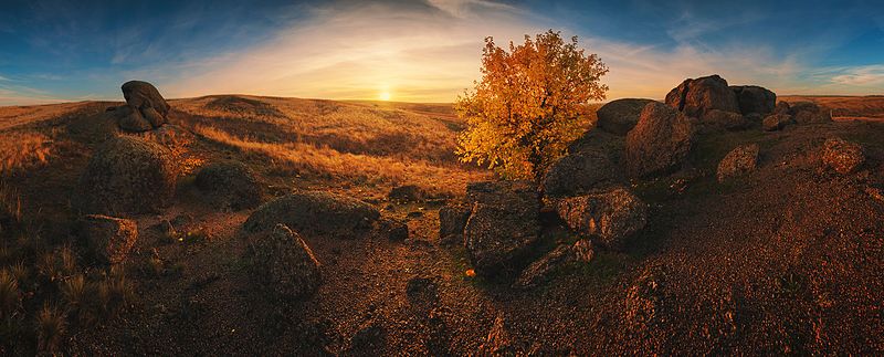 Балка Хан-Тарама (Кальміуський заповідник), Донецька область © Віталій Башкатов
