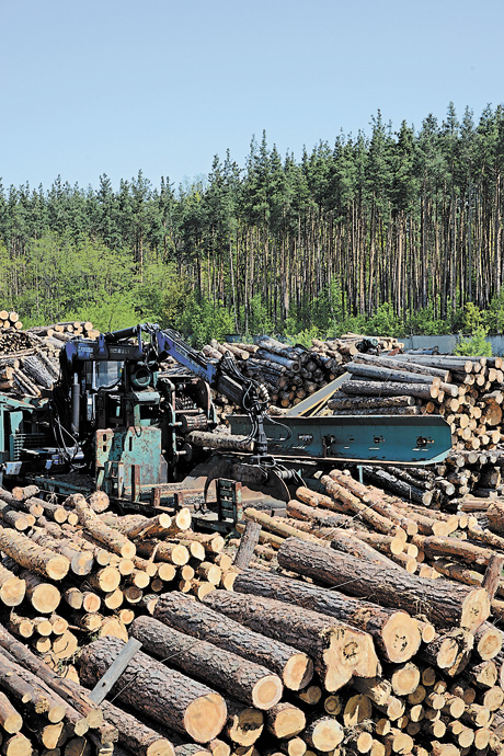 Cистему торгівлі державними підприємствами деревиною треба змінювати кардинально. Фото Володимира ЗАЇКИ