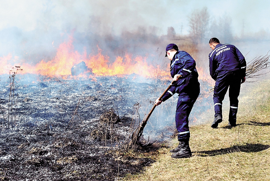Вогонь щоліта нагадує: люди, беріться за голову, а не за мітли. Фото з сайту cn.mns.gov.ua