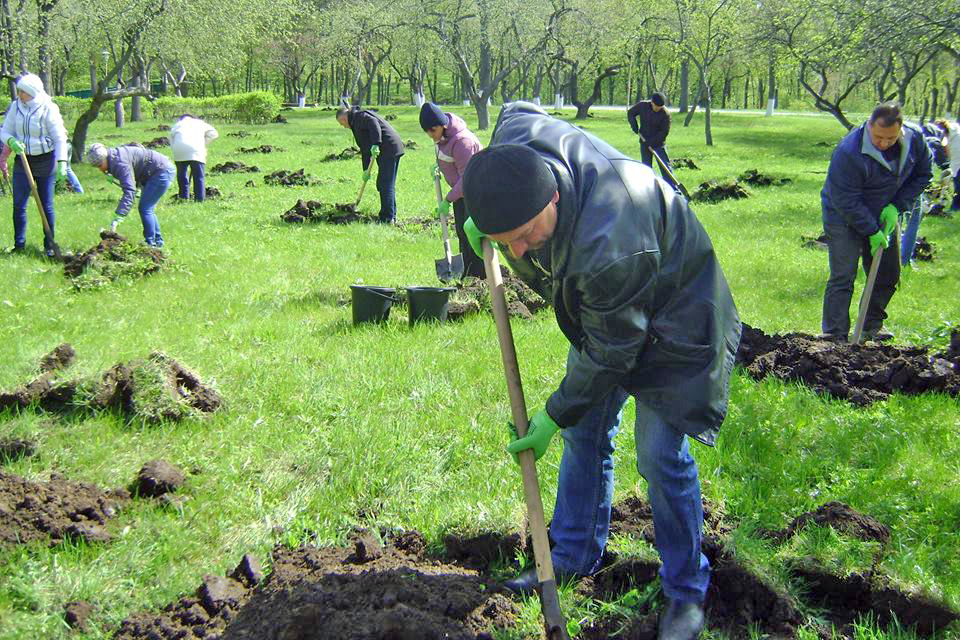 Новий сад зросте й наповниться новими піснями. Фото з сайту kharkivoda.gov.ua