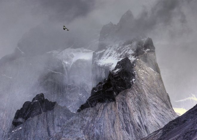 Бен Голл зловив у об’єктив андійського кондора, коли той пролітав над гірськими вершинами ‎у Національному парку Торрес-дель-Пайне, Чилі.‎
