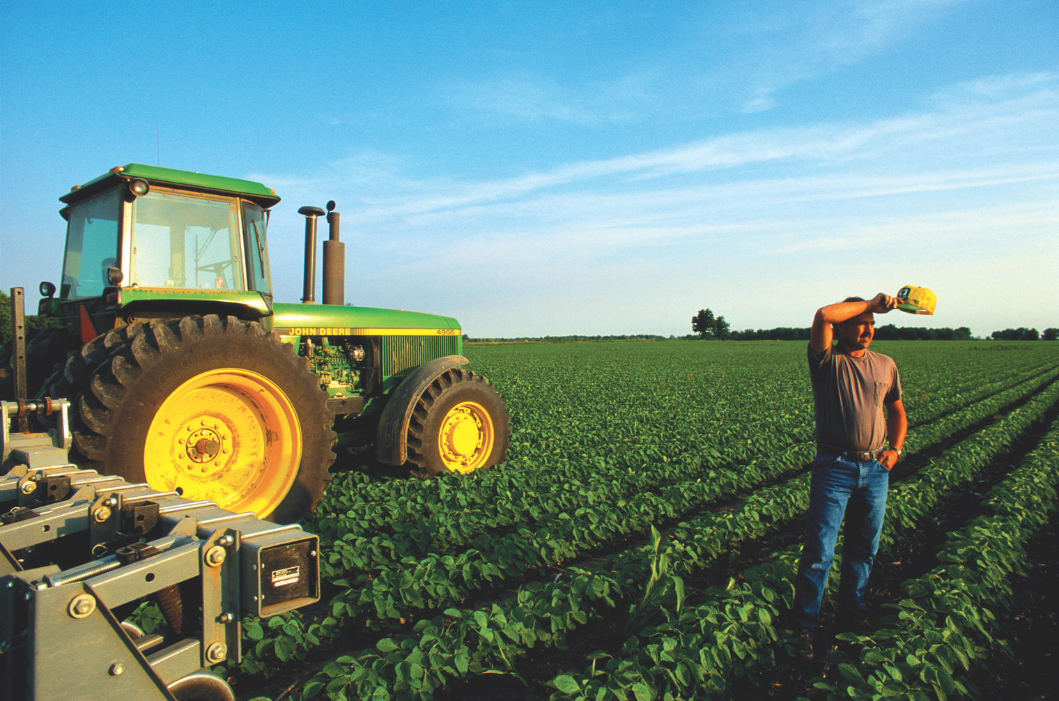 Розвиток фермерських господарств сприятиме наповненню внутрішнього ринку якісною продукцією. Фото з сайту mygenerator.com.au