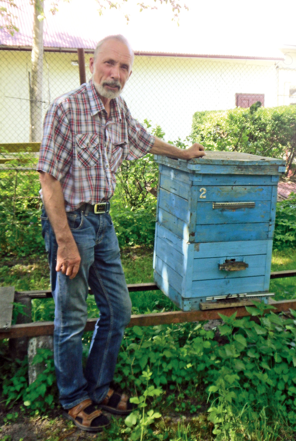 Бджоляр Віктор Головченко: «Ліки з вулика — від усіх хвороб». Фото автора
