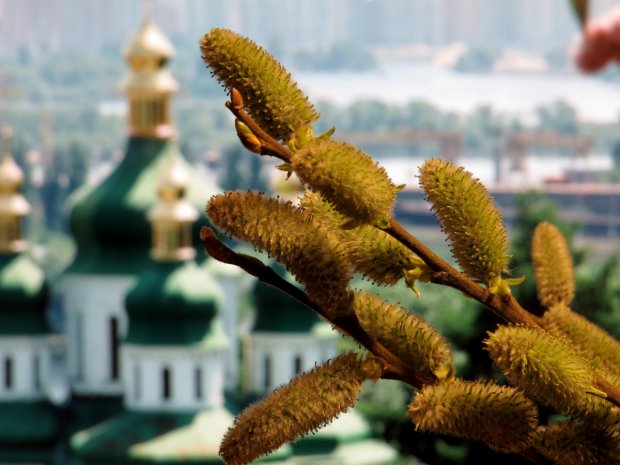 «Не я б’ю, верба б’є – за тиждень Великдень».