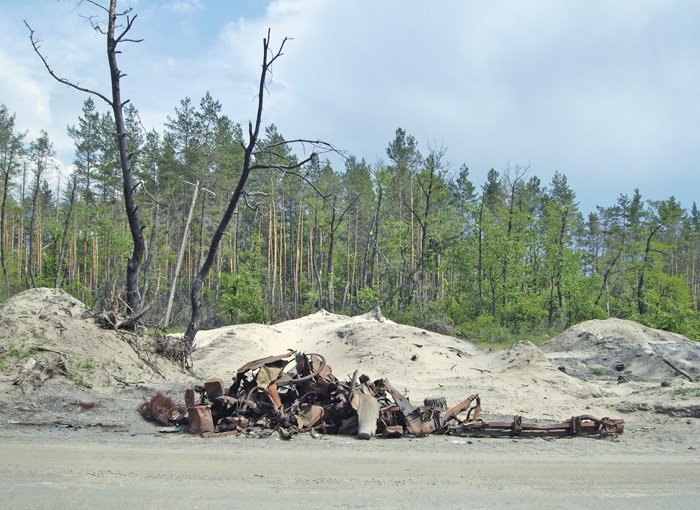 Вигорілі ліси позбавляють Луганщину чистого повітря. Фото автора