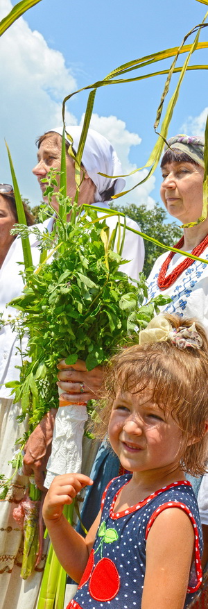 Духмяні трави та квіти за традицією прикрасять свято Трійці. Фото Володимира ЗАЇКИ