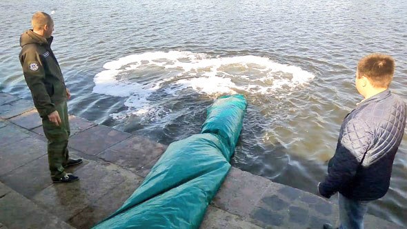 Для очищення води у став запустили мальків травоїдних риб. Ще й з рибою будемо! Фото з сайту mk.darg.gov.ua
