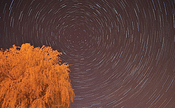 На фото, зробленому з тривалою експозицією англійським астрономом-любителем, видно, як все зоряне небо обертається навколо Полярної зірки. Червонуватого забарвлення кронам дерев надає світло натрієвих вуличних ліхтарів. Фото: Ashley Dace / Wikimedia Commons / CC BY-SA 2.0.