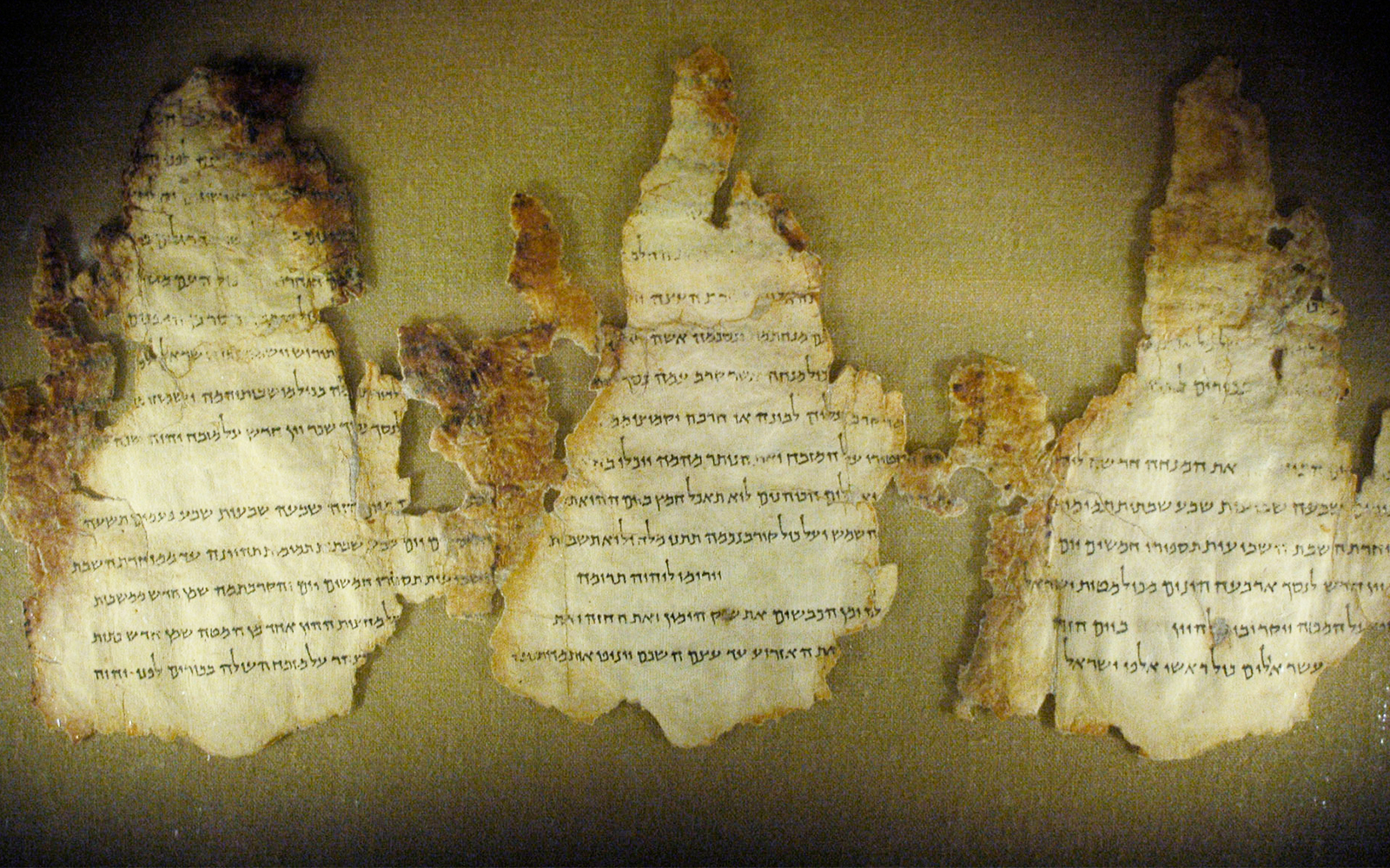 Три фрагменти «Храмового сувою», одного з сувоїв Мертвого моря, представлений в Музеї єврейської спадщини Мальтса в Бічвуд, штат Огайо, 28 березня 2006 року. (AP Photo / Jamie-Andrea Yanak, File)