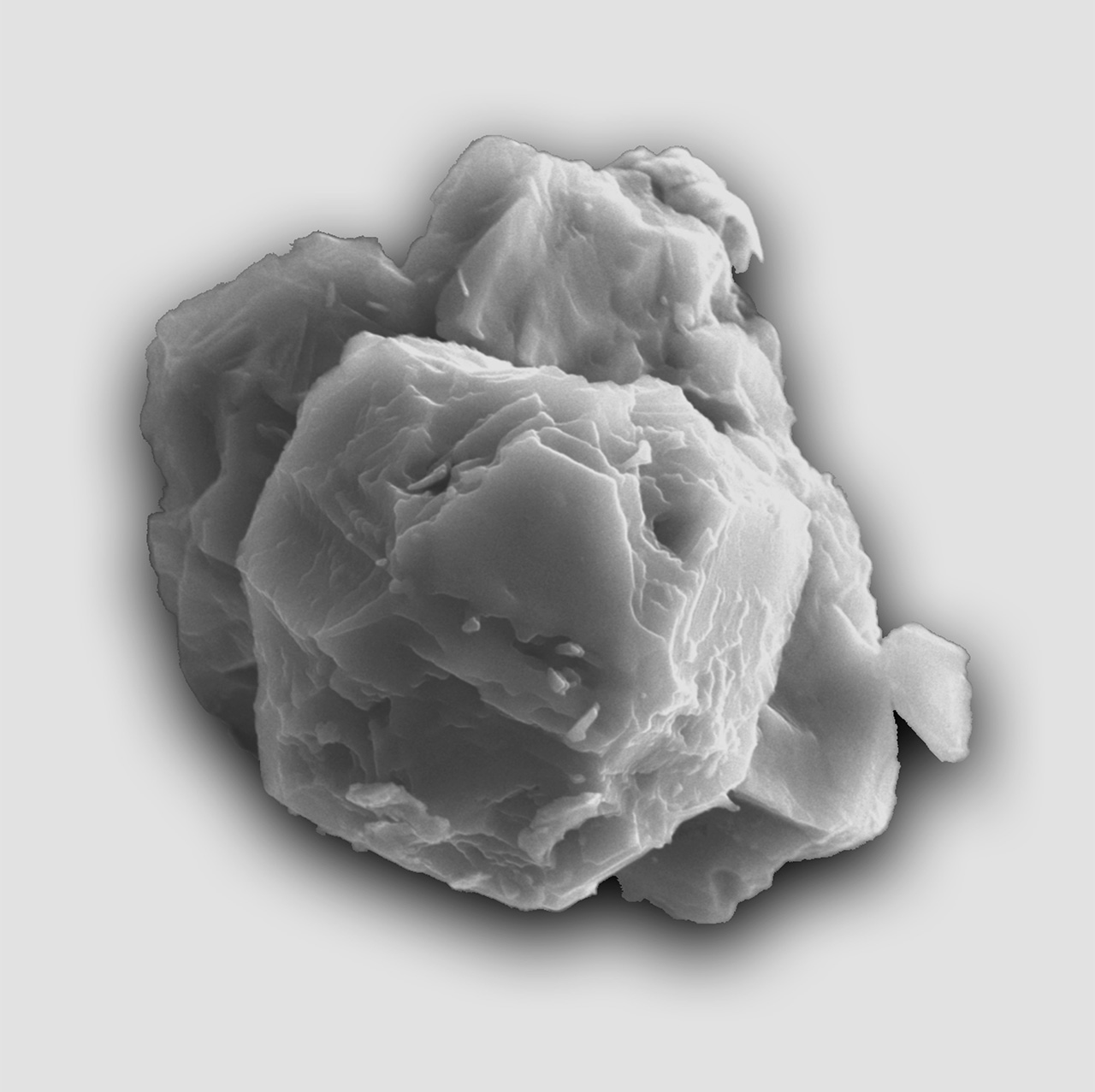 Зображення предсолярного зерена карбіду кремнію, виявленого у фрагменті Мурчісонського метеорита. Розмір частки 8 мікрон. Credit: Janaína N. Ávila