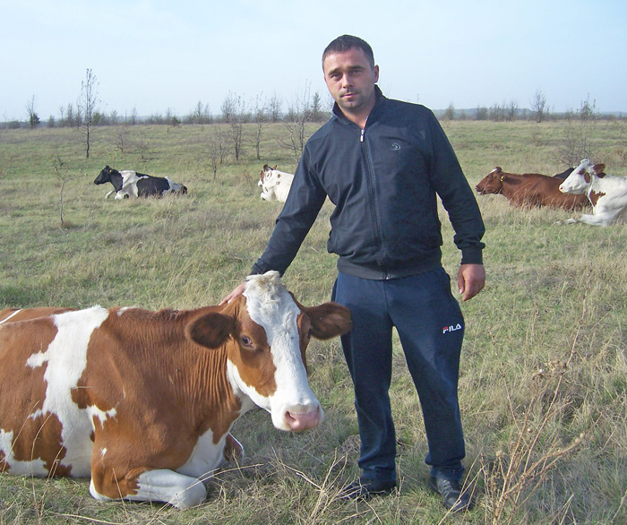 За словами власника сімейної ферми Руслана Жванка, від такої корови можна за день надоювати 40 літрів молока. Фото автора