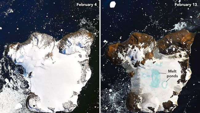 Орлиний острів Антарктиди 4 лютого і 13 лютого 2020 року. (Фото: © НАСА Обсерваторія Землі)
