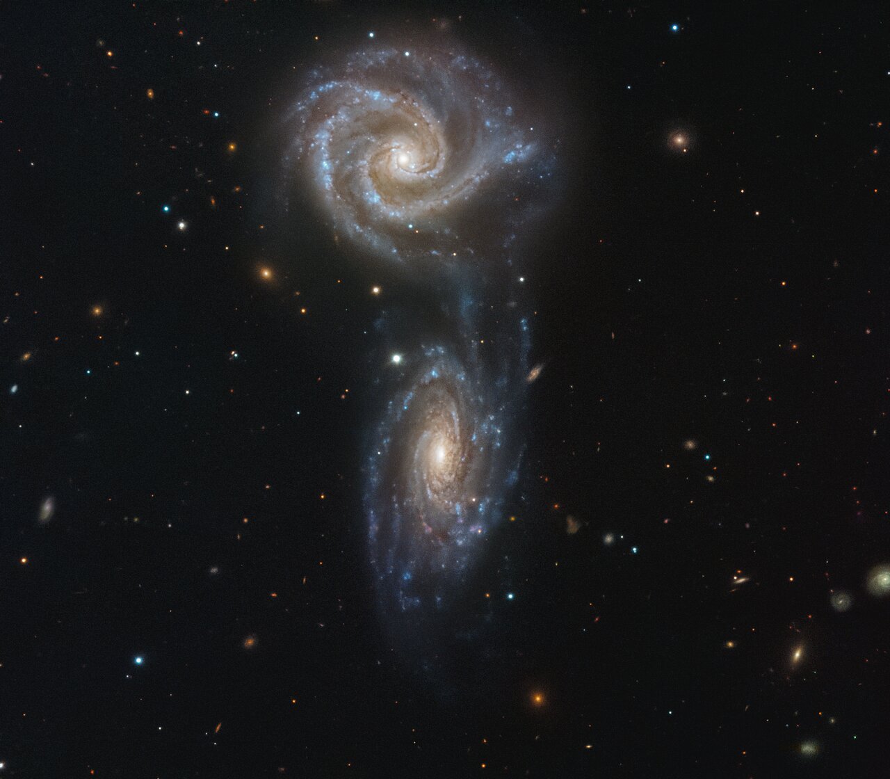 Галактики NGC 5426 і NGC 5427 відкрив у 1785 році німецько-британський астрономом Вільямом Гершель. У 1781 році він відкрив Уран.  
