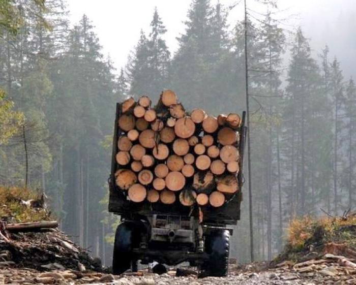 Фото з сайту carpathia.gov.ua