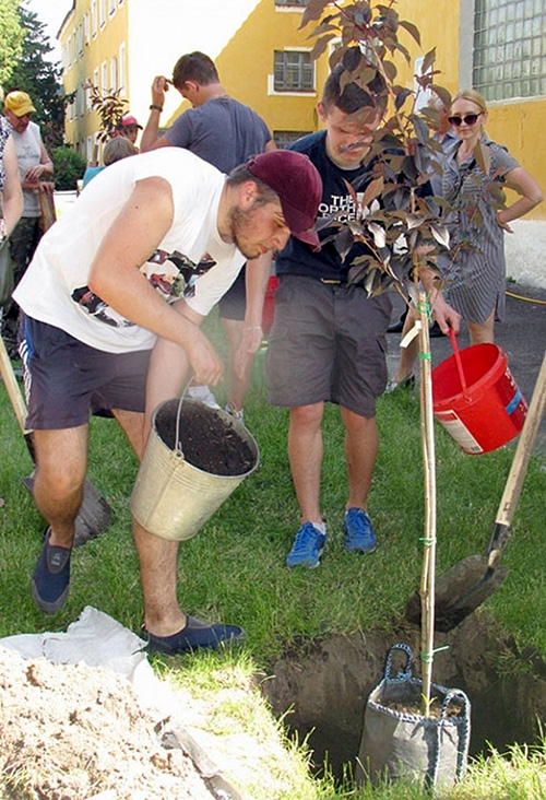 Фото з сайту sumy.today