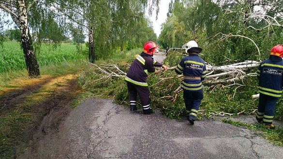 Рятувальники прибирають повалені дерева. Фото з сайту provce.ck.ua