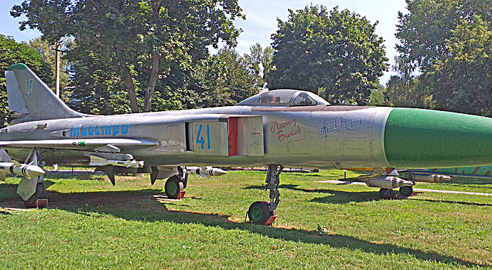 У музеї повітряних сил ЗСУ є літак «Маестро», названий на честь Леоніда Бикова з улюбленої багатьма льотчиками картини «В бой идут одни старики»