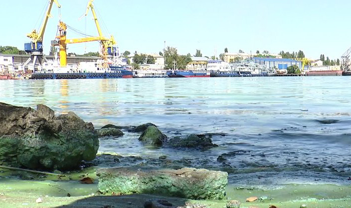 Висока температура повітря призвела до цвітіння водойм на Миколаївщині. Фото Суспільне:Миколаїв