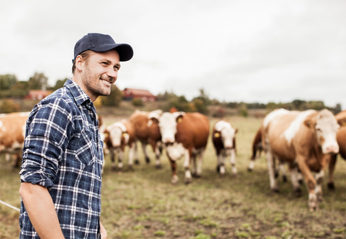 З-понад 30 тисяч активних фермерських господарств лише близько 500 очолюють молоді люди. Тож найближчими роками їхня кількість має зрости щонайменше вдвічі. Фото з сайту silrada.org