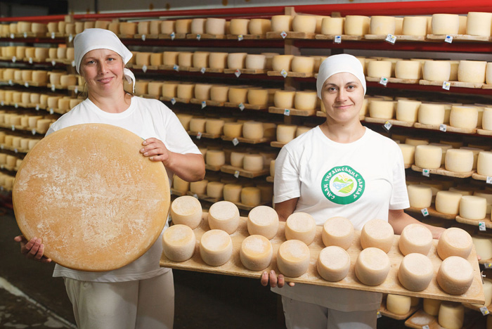 Крафтовий сир «Селиський» виробляють виключно з місцевого молока. Фото з сайту tuca.com.ua