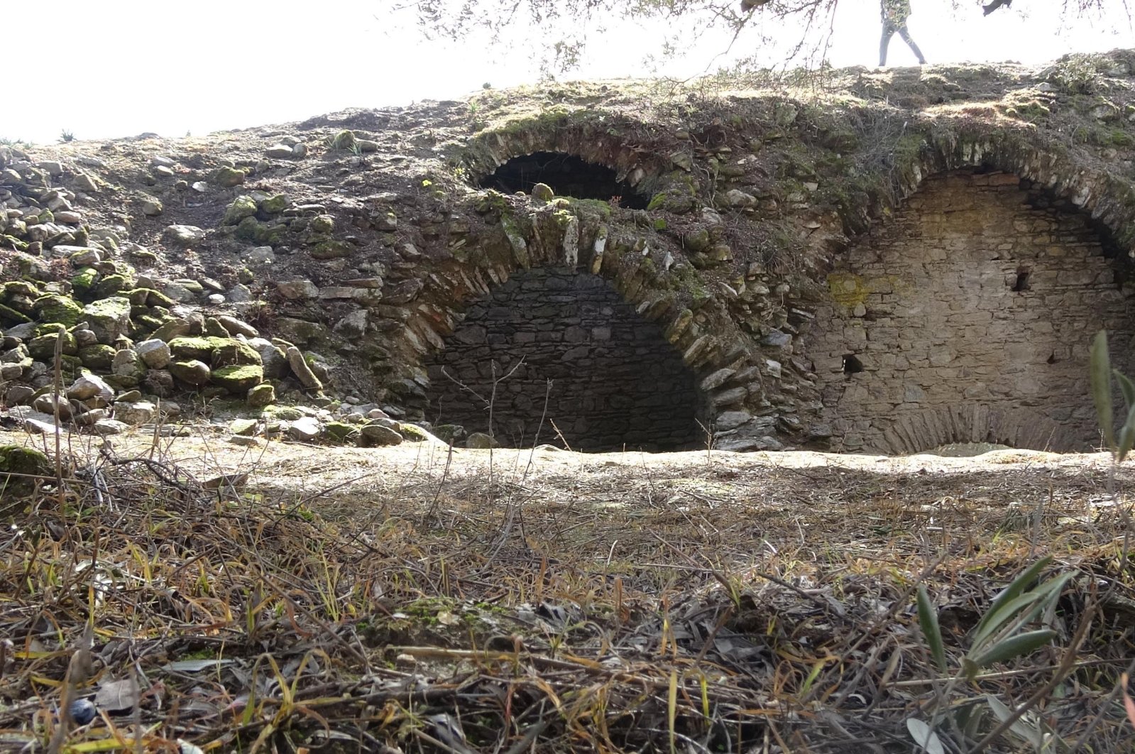 Розкопана ділянка амфітеатру в провінції Айдин, західна Туреччина. (Фото DHA) 