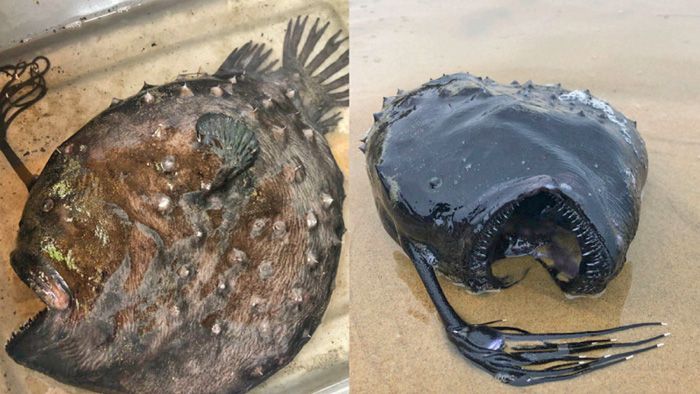 Фото з сайту tengrinews.kz