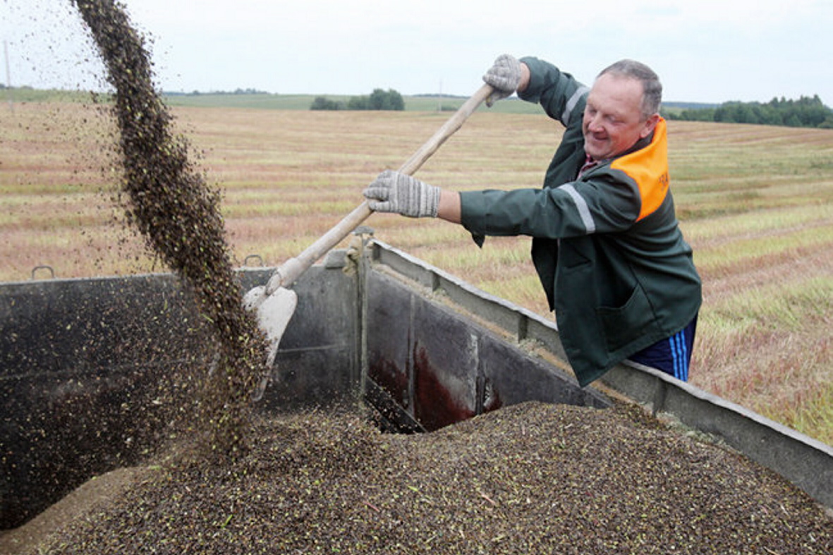 Цьогоріч полтавські господарі землі намолотити 2,5 мільйона тонн зерна. Фото з сайту kurkul.com
