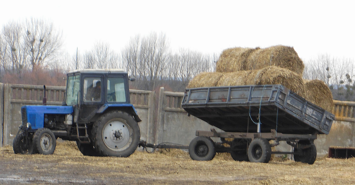 Досушити зерно у Краснопілці допомагає солома. Фото Василя Марченка