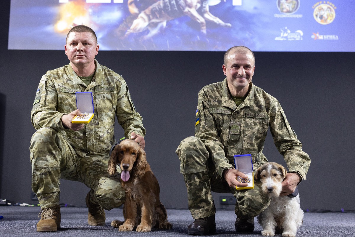 Ці песики поповнили список успішних мужніх захисників України. Фото ДПСУ