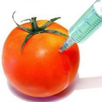 «Без ГМО» — дурневі на радість?