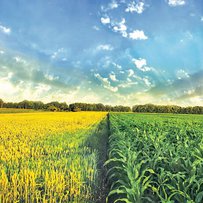 Глобальне потепління дає шанс захопити зернові ринки