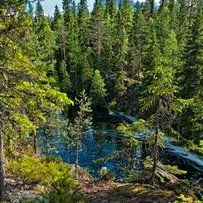 Орест ФУРДИЧКО: «Немає лісокористувачів – є землекористувачі»