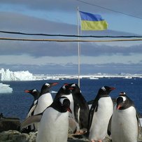 Полярник Сергій Лопарьов: «Пінгвінів — не їмо. Ми їх вивчаємо»