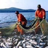 Віктор ДРОНИК: «Останні три роки стали знаковими для рибної галузі»