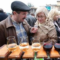Виноробство: всеукраїнська дегустація в Береговому в чомусь втішила, в чомусь  додала тривоги