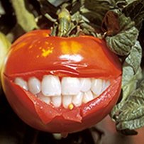 Без ГМО: маркуй «своїх», щоб «чужі» й духу боялися