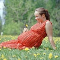 Чи можна звільнити вагітну жінку?