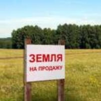 Олег ШЕСТАК: «Виділення ділянок в обхід земельних аукціонів позбавляє місцеві громади мільйонів гривень»