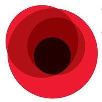 Червоний мак — символ пам’яті всіх загиблих у Другій світовій