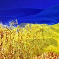 Олександр БІЛОУСЕНКО:  «Коли в Україні настане рік української мови?»