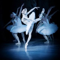 Солістка Берлінського державного балету Яна САЛЕНКО: «Виставу «Дітрих» сподіваємося зробити великою подією в Німеччині»